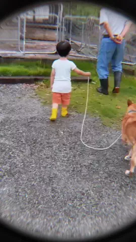くう🐕とじいちゃんとギンタとキスケのTikTok投稿