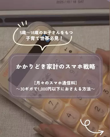 梨⌇夫に内緒で1000万貯めたママのTikTok投稿