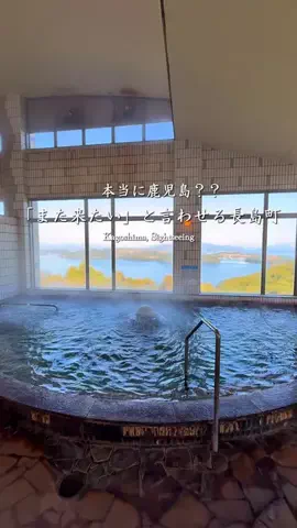 ポポの休日🌿鹿児島&九州旅🐕のTikTok投稿
