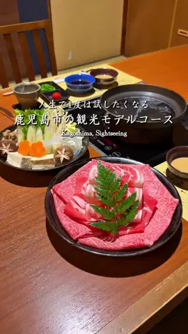 ポポの休日🌿鹿児島&九州旅🐕のTikTok投稿