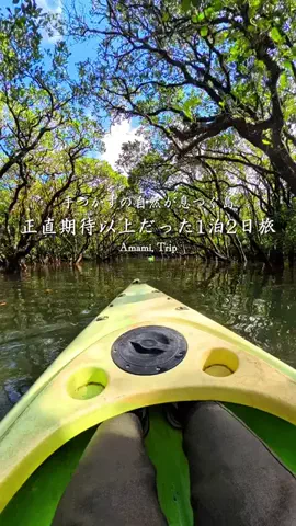 ポポの休日🌿鹿児島&九州旅🐕のTikTok投稿