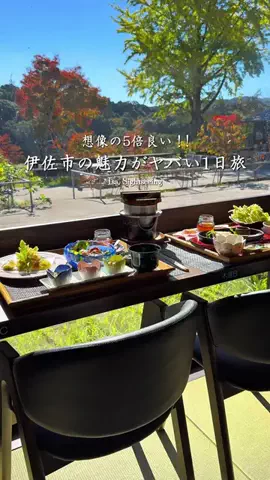 ポポの休日🌿鹿児島&九州旅🐕のTikTok投稿