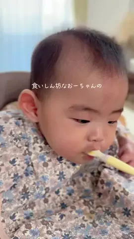 ぴーまま⌇0歳ベビとのごきげんな暮らしのTikTok投稿