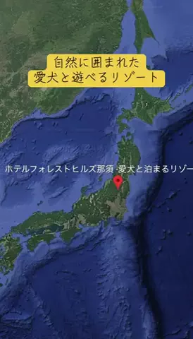 Trip in JAPANのTikTok投稿