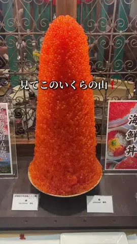 shuuublog/ホテル紹介のTikTok投稿