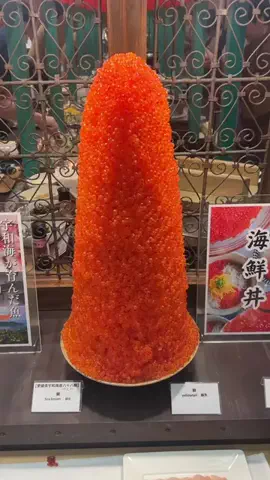 shuuublog/ホテル紹介のTikTok投稿