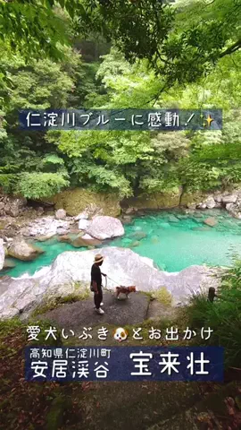 【愛媛の飯テロリスト】まなみん🍺🍚のTikTok投稿