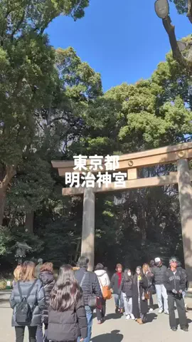 のぶ(スーパー旅行系クリエイター)のTikTok投稿