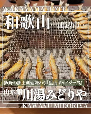 こぺ夫婦🍊和歌山お出かけ、時々旅行。のTikTok投稿