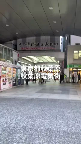 のぶ(スーパー旅行系クリエイター)のTikTok投稿