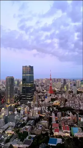 light/ライトのTikTok投稿