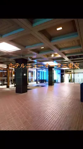 のぶ(スーパー旅行系クリエイター)のTikTok投稿