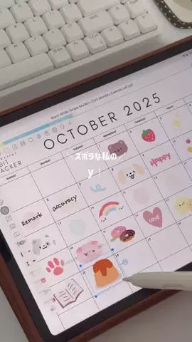 さみほ🐰 ⌇iPadと働き方のTikTok投稿