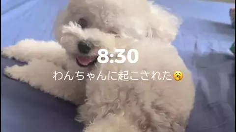 えま⌇接客業から受付嬢になった24歳のTikTok投稿