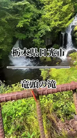 茨城と栃木の県境に住んでいますのTikTok投稿
