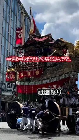 茨城と栃木の県境に住んでいますのTikTok投稿