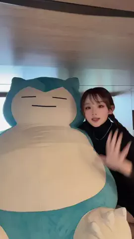 LICCAのTikTok投稿