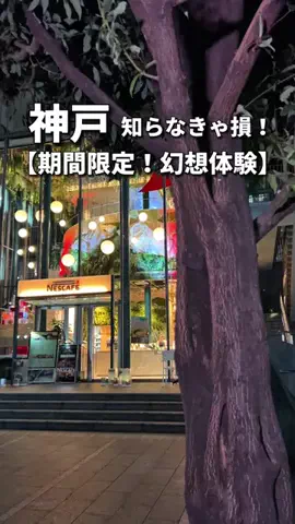 ちょびっとカップルのTikTok投稿