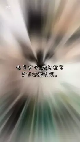 姫と王に仕える下僕の日記のTikTok投稿