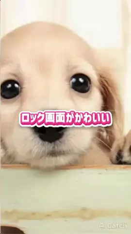 🎀もあらなまぅ🎀のTikTok投稿