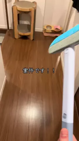 姫と王に仕える下僕の日記のTikTok投稿