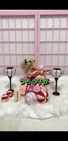 🎀もあらなまぅ🎀のTikTok投稿