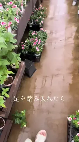 えりさのTikTok投稿