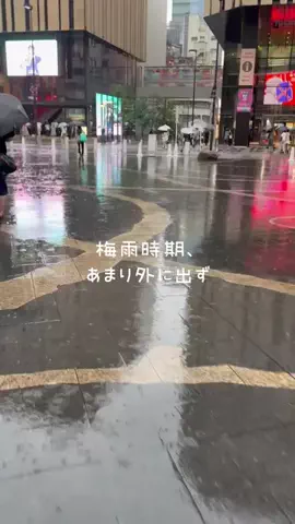 凛々🐼のTikTok投稿