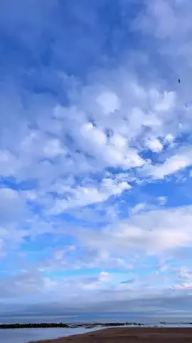 やすのTikTok投稿