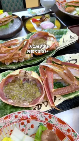 くぼたび｜旅に生きるアラサー夫婦のTikTok投稿