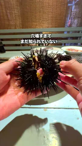 くぼたび｜旅に生きるアラサー夫婦のTikTok投稿
