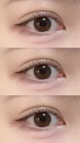🐻のTikTok投稿