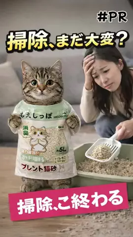 まりもん(･༝･ᐡ)のTikTok投稿
