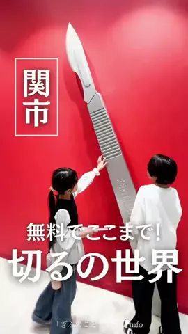 ぎふのことのTikTok投稿