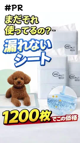 まりもん(･༝･ᐡ)のTikTok投稿