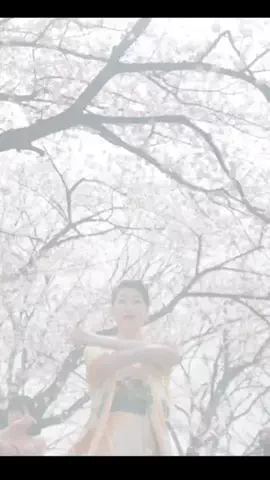 Kimono Dance Project【公式】のTikTok投稿