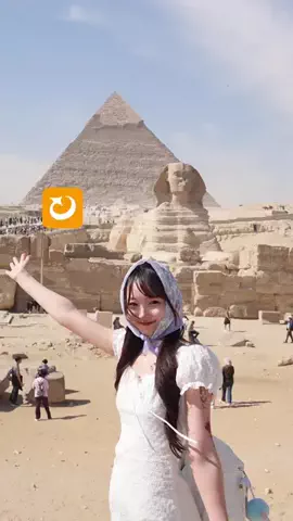 蘭のTikTok投稿