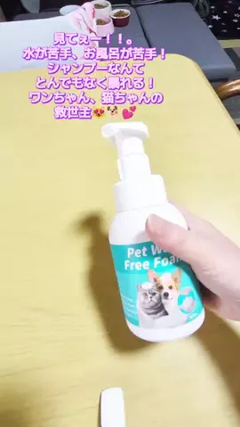 にゃんコロンちゃん♪のTikTok投稿