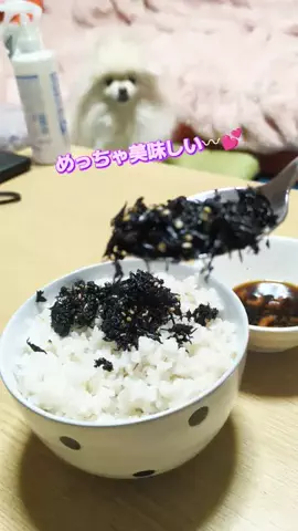 にゃんコロンちゃん♪のTikTok投稿