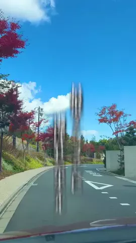 もじゃたび⌇静岡発✈︎旅行・観光・ホテルのTikTok投稿