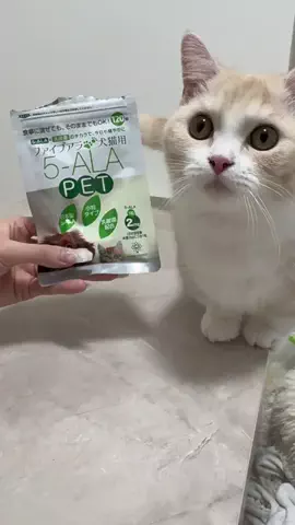 めるのTikTok投稿