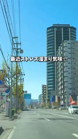 もじゃたび⌇静岡発✈︎旅行・観光・ホテルのTikTok投稿