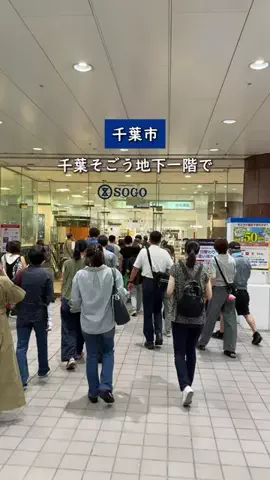 千葉市グルメ l れんのTikTok投稿