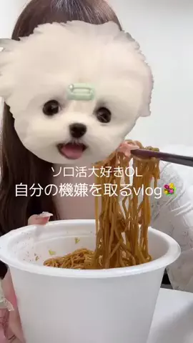 🐩🎀のTikTok投稿