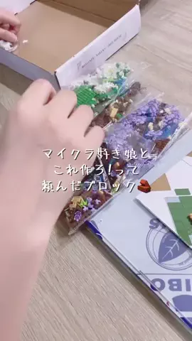 mii.1987のTikTok投稿