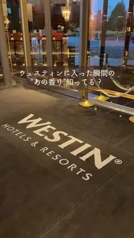 y_urin_aのTikTok投稿