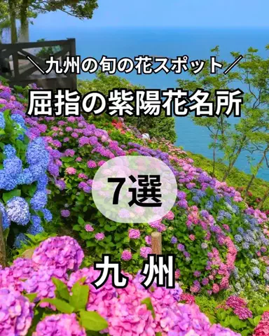 サム/九州旅行【観光地/宿/グルメ】のTikTok投稿