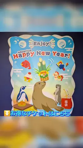 おじさんのTikTok投稿