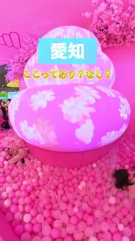 はやて【滋賀子連れお出かけアカウント】のTikTok投稿