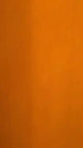サイカンⅡのTikTok投稿